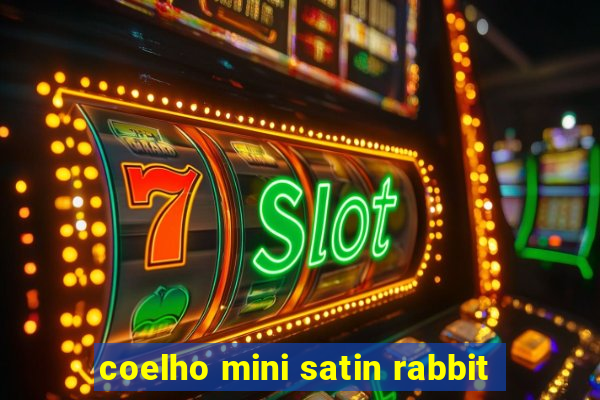 coelho mini satin rabbit